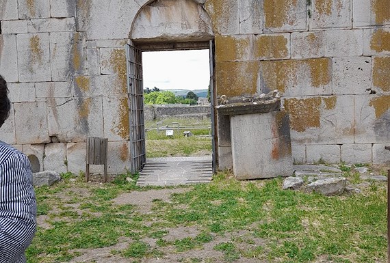 Venosa 
