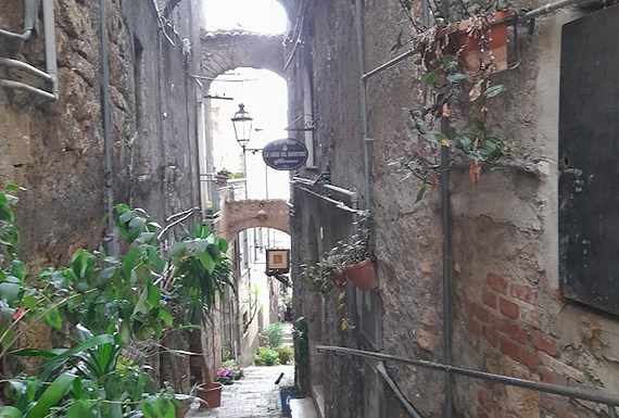 Pellegrinaggio giubilare